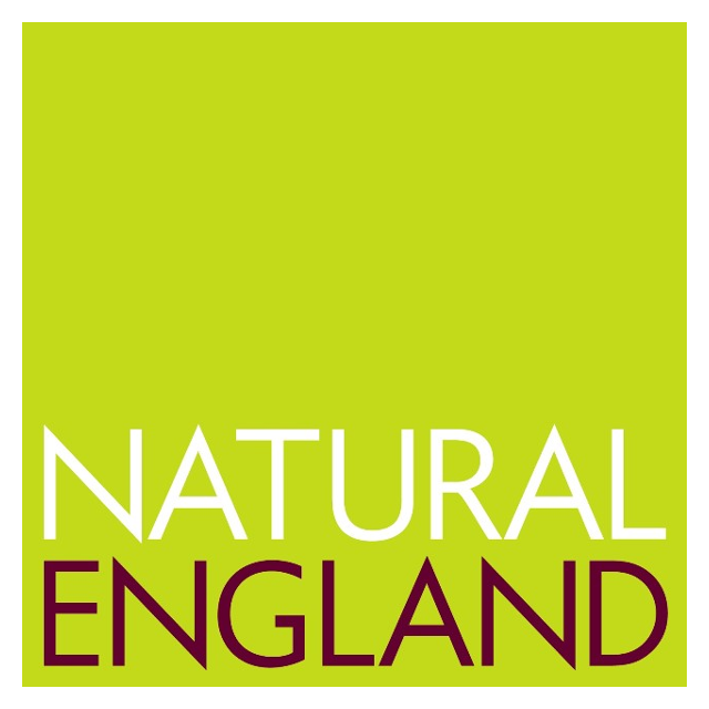 NE